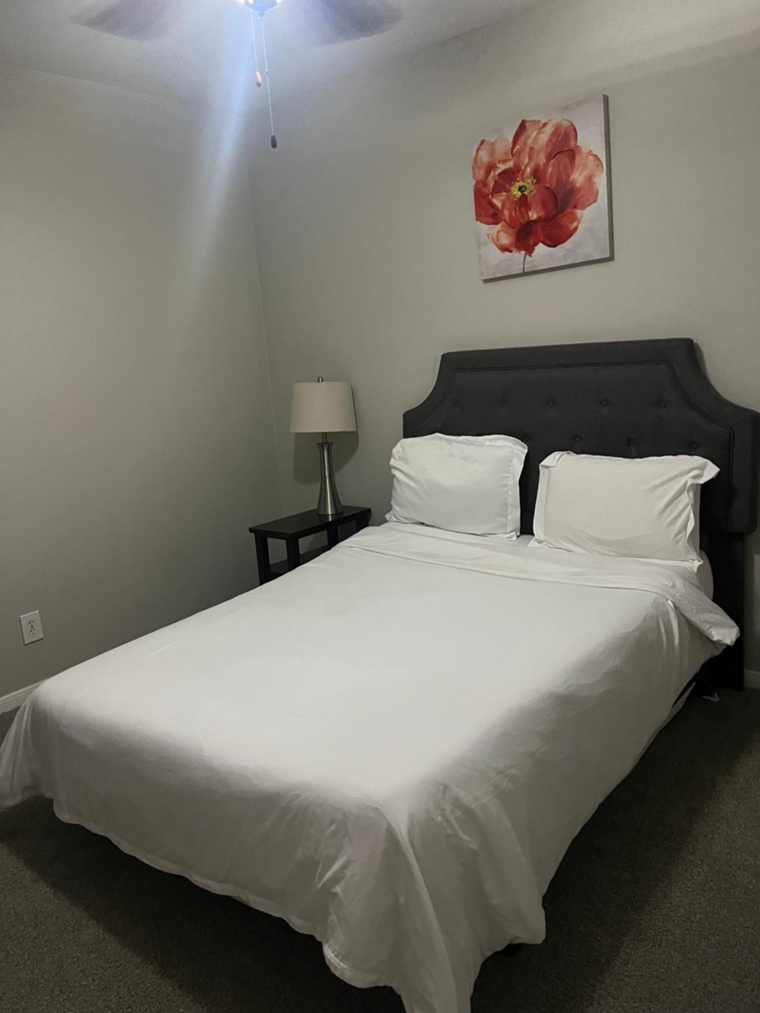 Resort Style Apt/Home In Houston Medical Centre Room photo